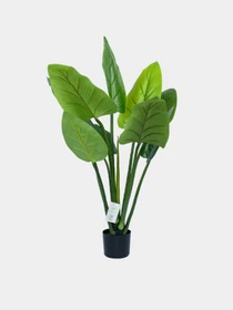 Искусственное растение "Philodendron" Engard модель TW-38 Фото
