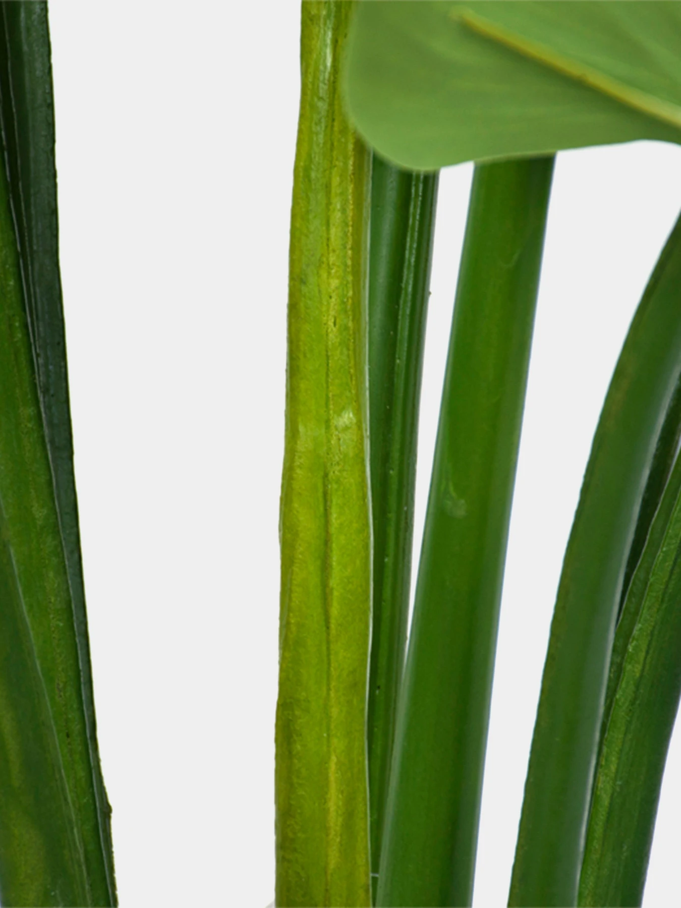Искусственное растение "Philodendron" Engard модель TW-39 Искусственное растение "Philodendron" Engard модель TW-39 Фото