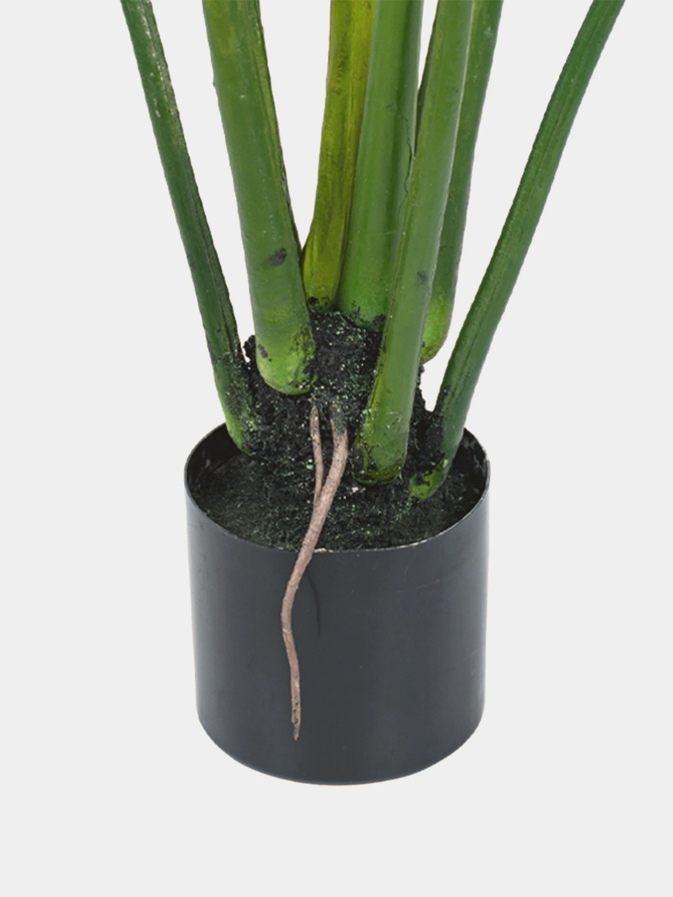 Искусственное растение "Philodendron" Engard модель TW-39 Искусственное растение "Philodendron" Engard модель TW-39 Фото