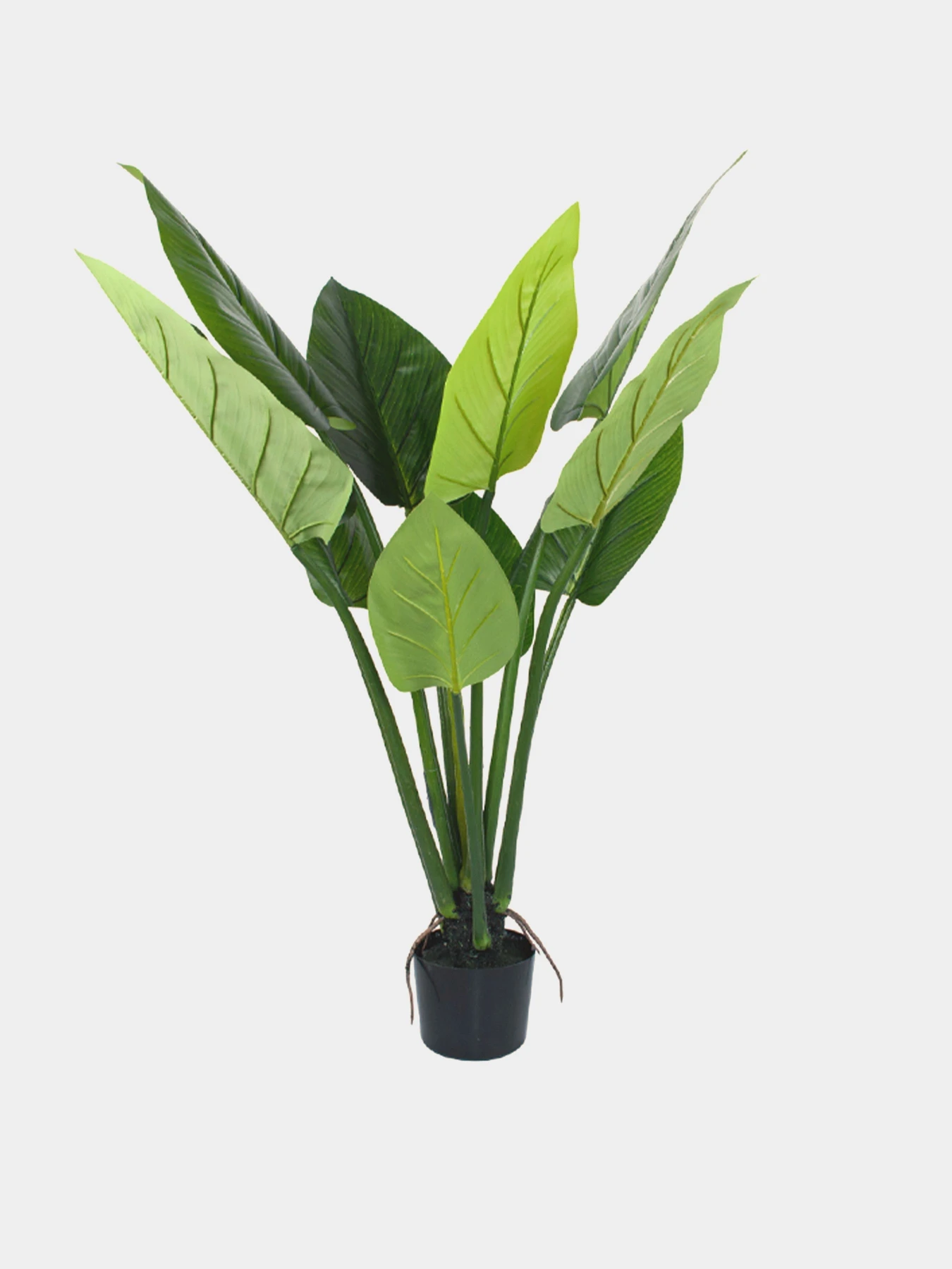 Искусственное растение "Philodendron" Engard модель TW-39 Искусственное растение "Philodendron" Engard модель TW-39 Фото