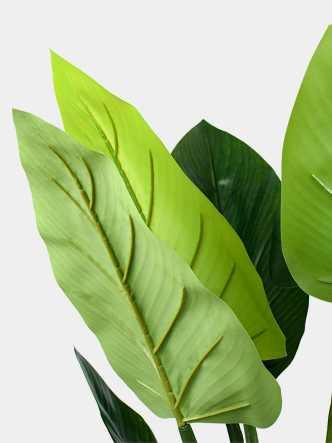 Искусственное растение "Philodendron" Engard модель TW-39 Искусственное растение "Philodendron" Engard модель TW-39 Фото