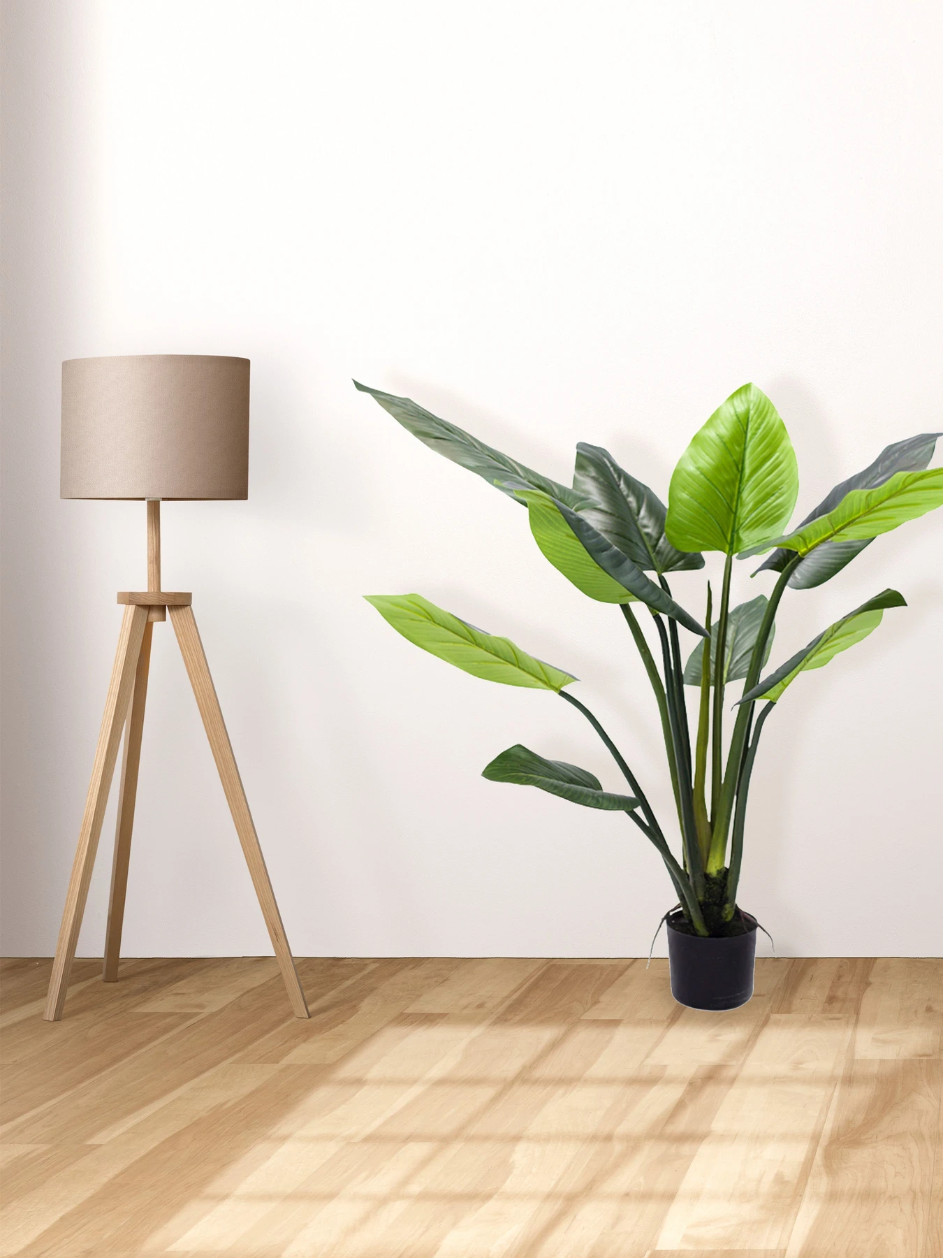 Искусственное растение "Philodendron" Engard модель TW-39 Искусственное растение "Philodendron" Engard модель TW-39 Фото