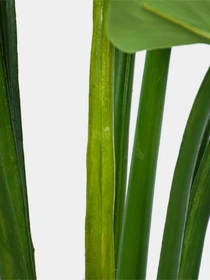Искусственное растение "Philodendron" Engard модель TW-39 Фото