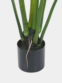 Искусственное растение "Philodendron" Engard модель TW-39 Фото