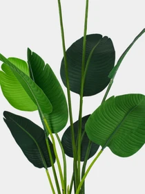 Штучна рослина "Banana Tree" Engard модель TW-09 Фото