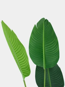 Штучна рослина "Banana Tree" Engard модель TW-09 Фото