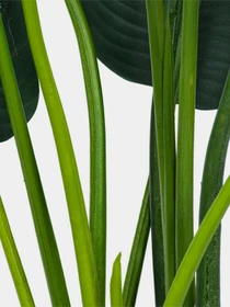 Штучна рослина "Banana Tree" Engard модель TW-09 Фото