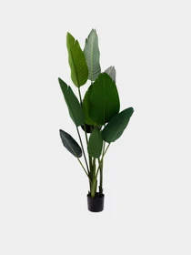 Штучна рослина "Banana Tree" Engard модель TW-09 Фото