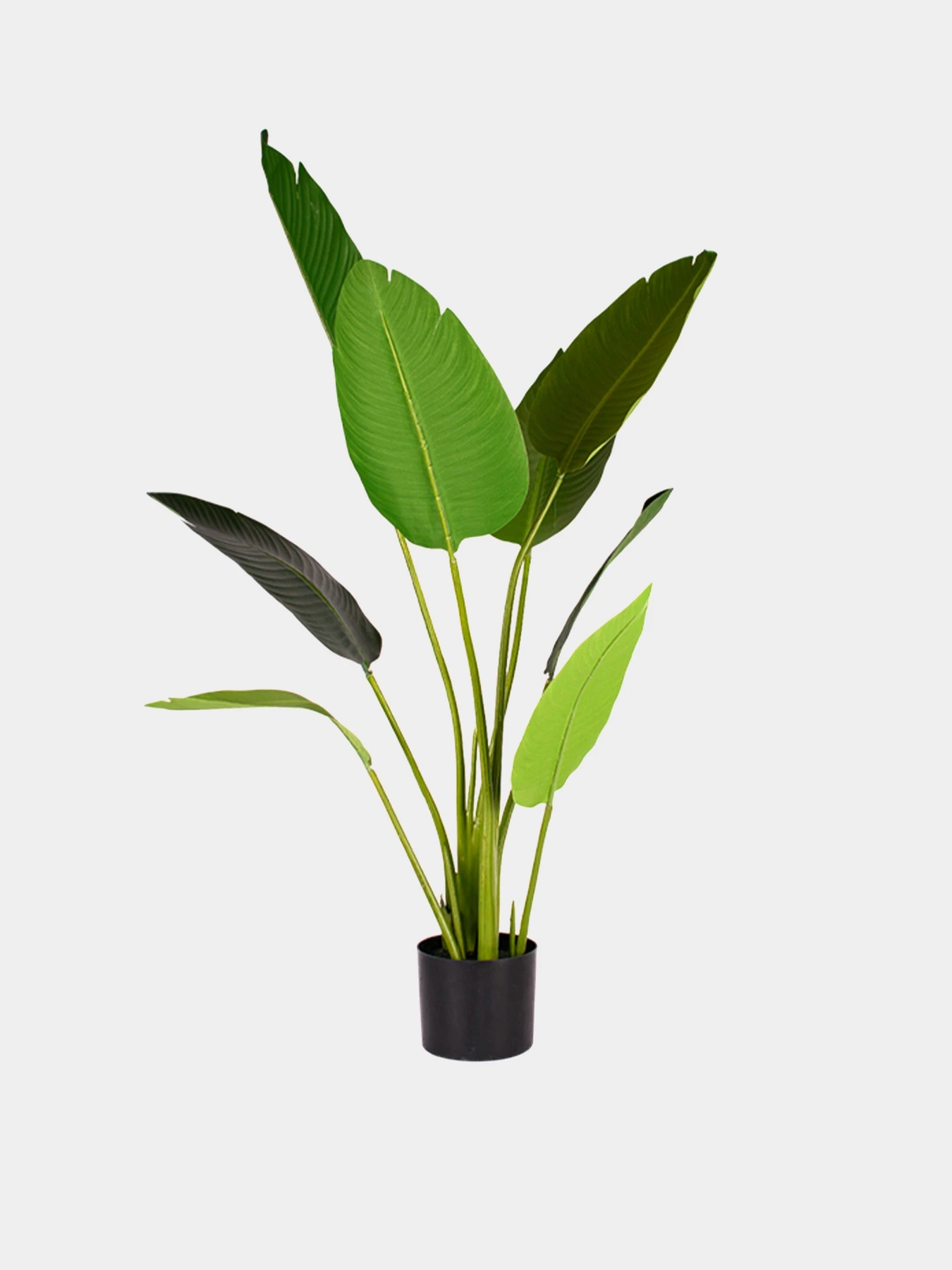 Искусственное растение "Banana Tree", 120 см Engard модель TW-24 Искусственное растение "Banana Tree", 120 см Engard модель TW-24 Фото