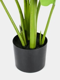 Искусственное растение "Banana Tree", 120 см Engard модель TW-24 Фото