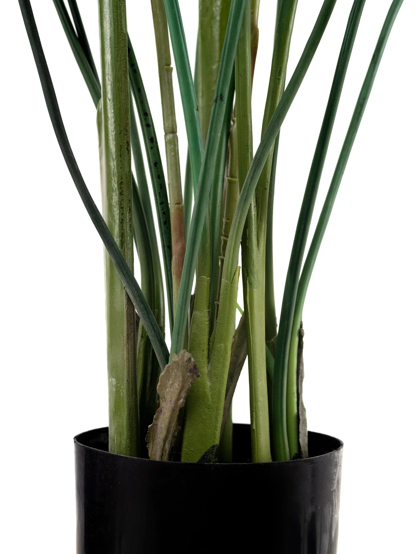 Искусственное растение "Strelitzia", 120 см Engard модель TW-25 Искусственное растение "Strelitzia", 120 см Engard модель TW-25 Фото