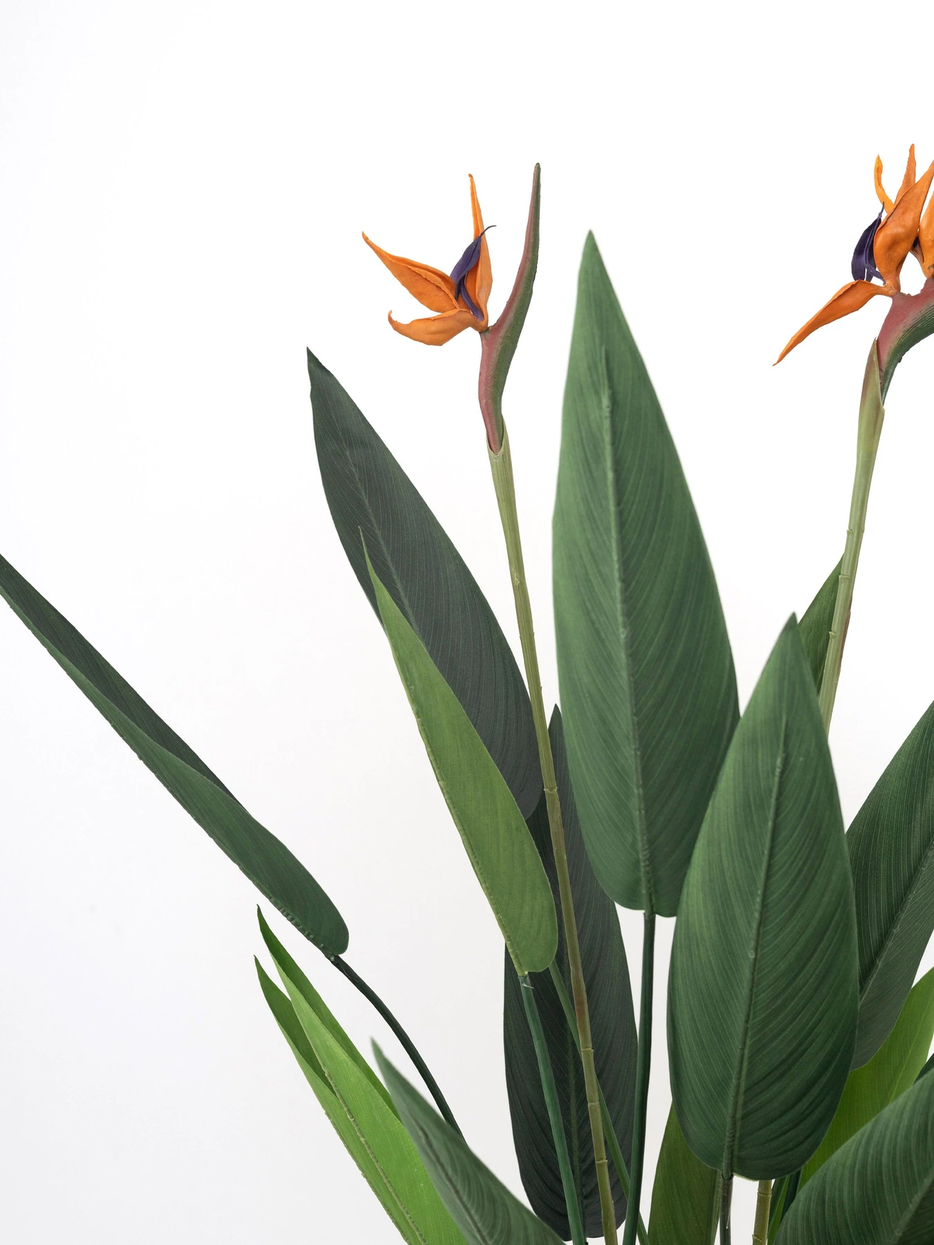 Искусственное растение "Strelitzia", 120 см Engard модель TW-25 Искусственное растение "Strelitzia", 120 см Engard модель TW-25 Фото