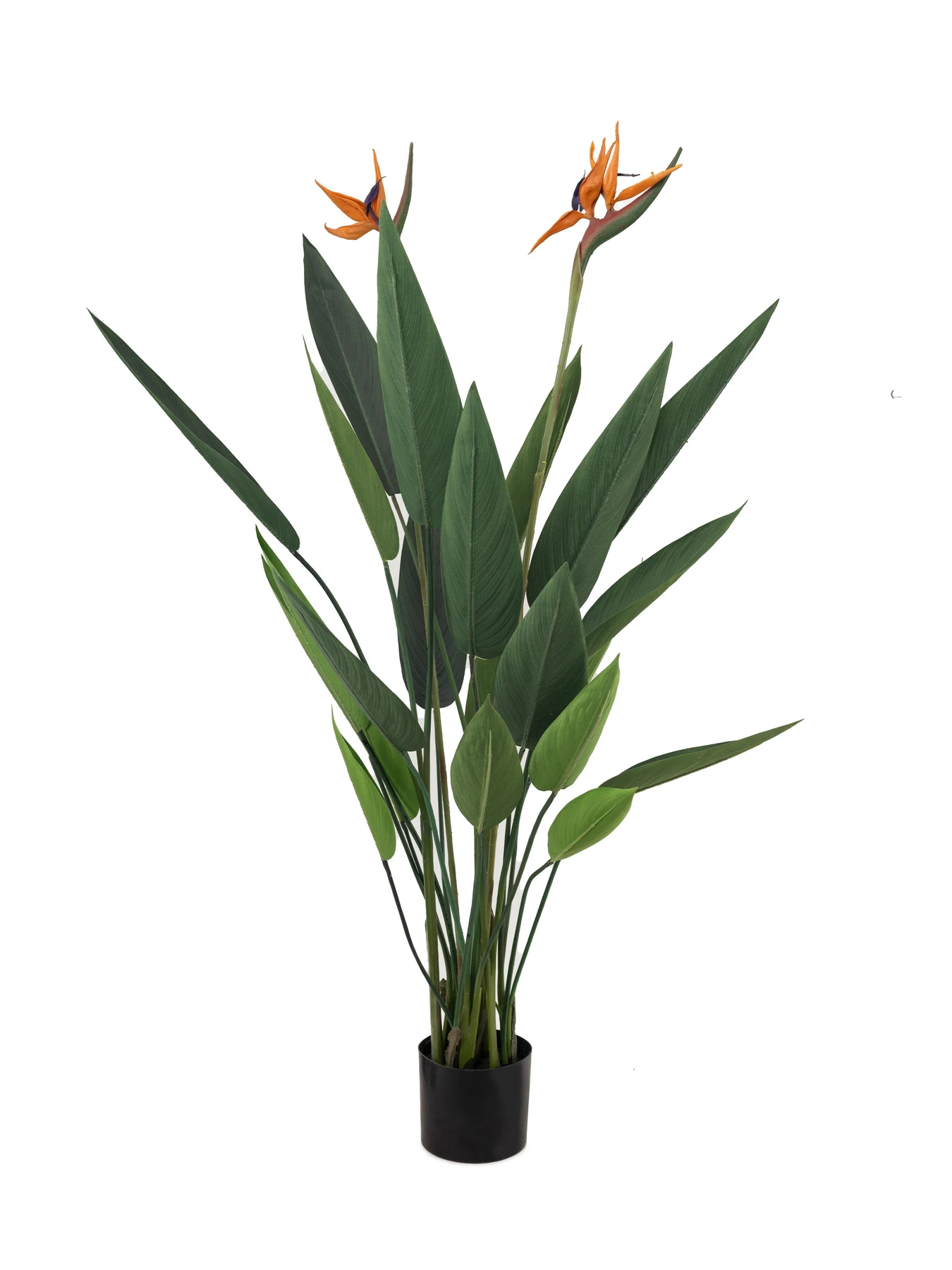 Искусственное растение "Strelitzia", 120 см Engard модель TW-25 Искусственное растение "Strelitzia", 120 см Engard модель TW-25 Фото