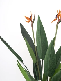 Искусственное растение "Strelitzia", 120 см Engard модель TW-25 Фото