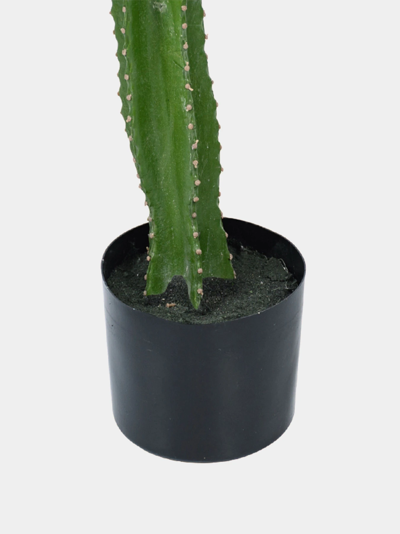 Штучна рослина "Cactus" Engard модель TW-40 Штучна рослина "Cactus" Engard модель TW-40 Фото