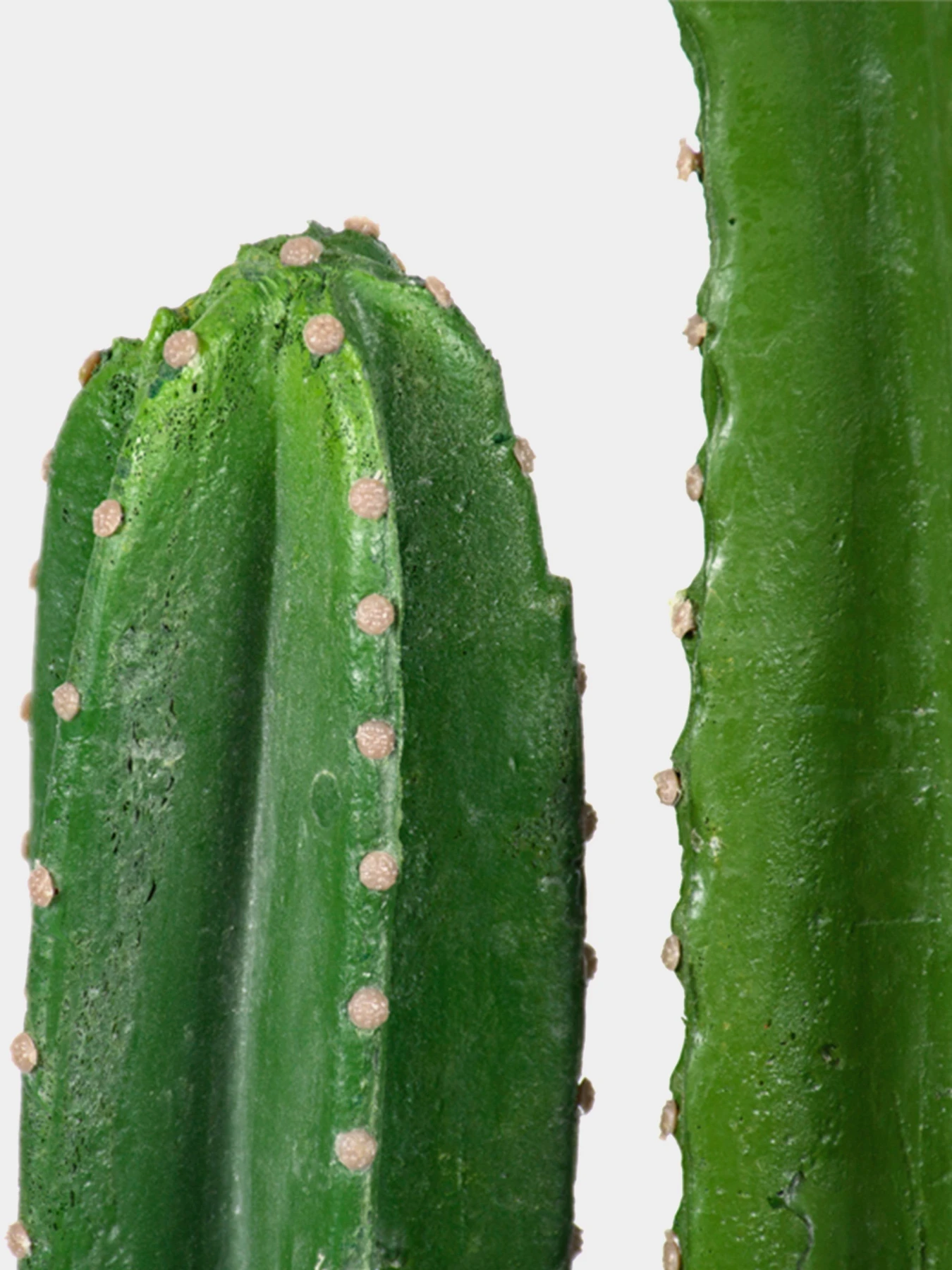 Штучна рослина "Cactus" Engard модель TW-40 Штучна рослина "Cactus" Engard модель TW-40 Фото