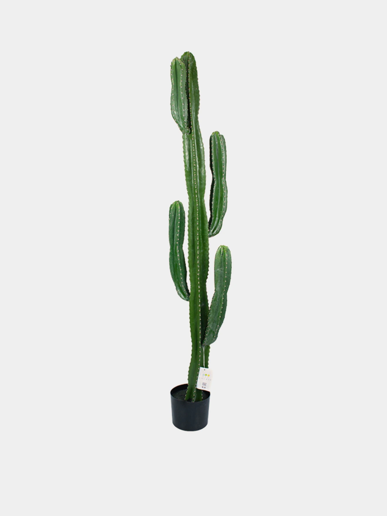 Штучна рослина "Cactus" Engard модель TW-40 Штучна рослина "Cactus" Engard модель TW-40 Фото