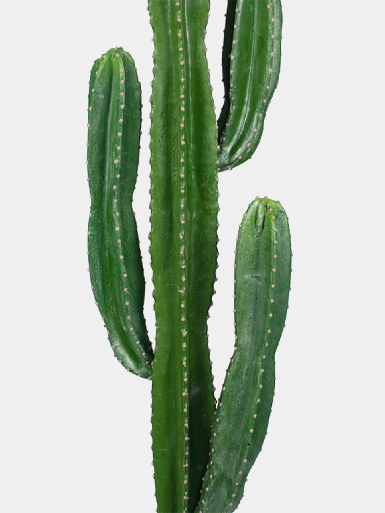 Штучна рослина "Cactus" Engard модель TW-40 Штучна рослина "Cactus" Engard модель TW-40 Фото