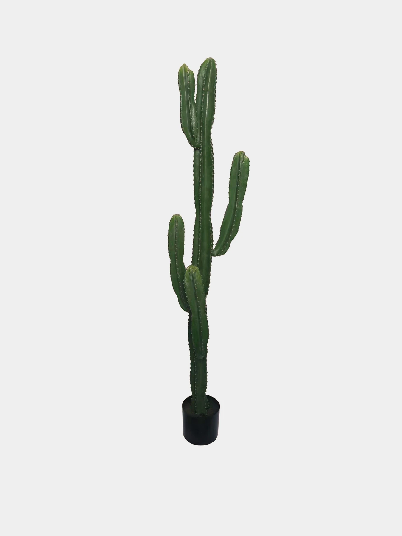 Штучна рослина "Cactus" Engard модель TW-40 Штучна рослина "Cactus" Engard модель TW-40 Фото
