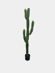 Штучна рослина "Cactus" Engard модель TW-40 Фото