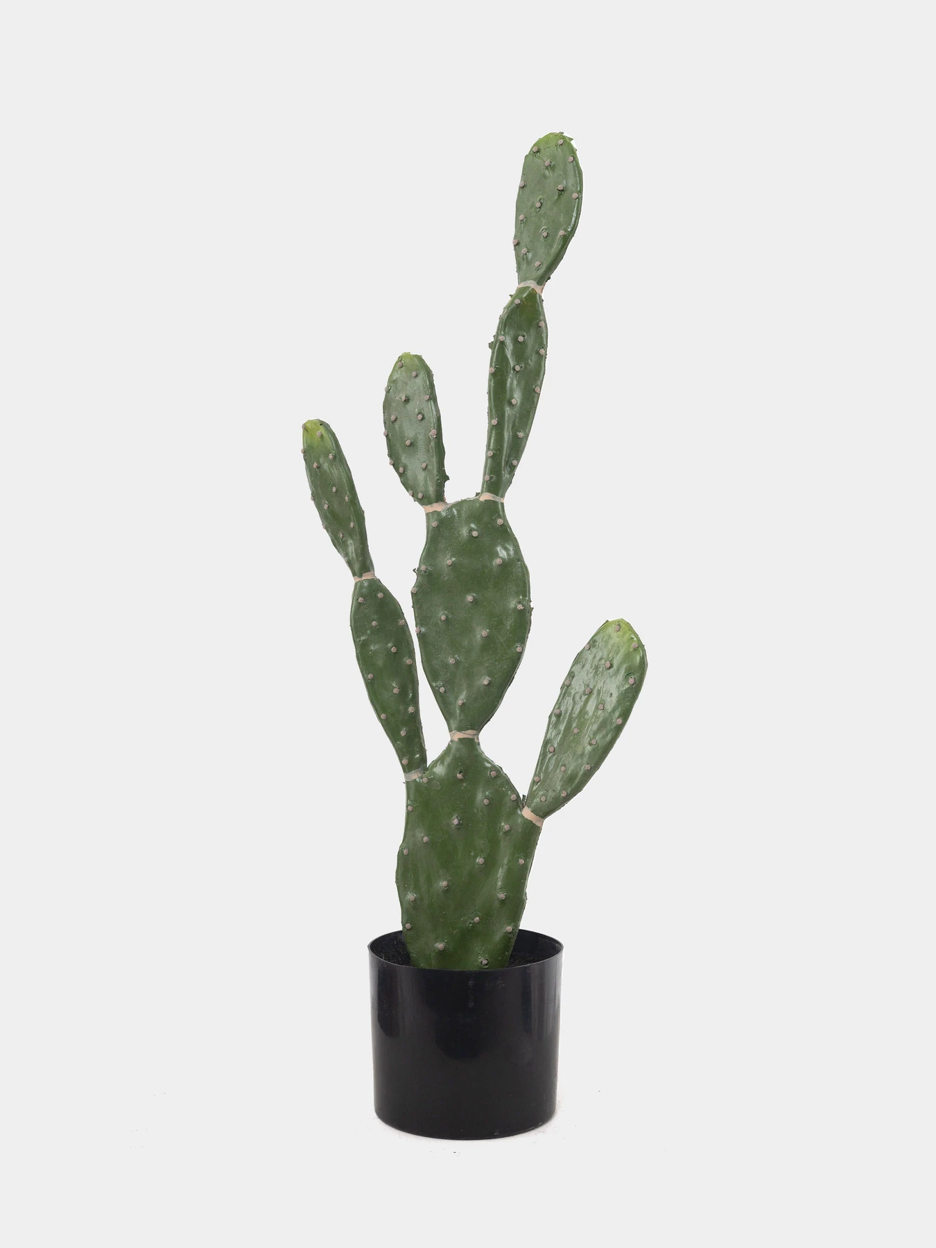 Искусственное растение "Cactus", 75 cм Engard модель TW-41 Фото