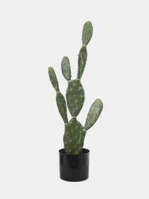 Искусственное растение "Cactus", 75 cм Engard модель TW-41 Фото