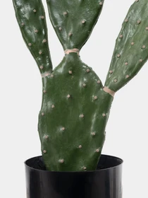 Искусственное растение "Cactus", 75 cм Engard модель TW-41 Фото