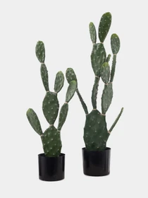 Искусственное растение "Cactus", 95 cм Engard модель TW-42 Фото