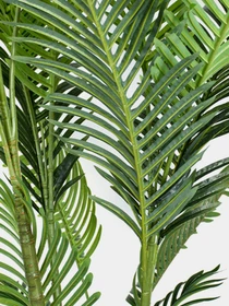 Штучна рослина "Palm Tree" Engard модель TW-29 Фото