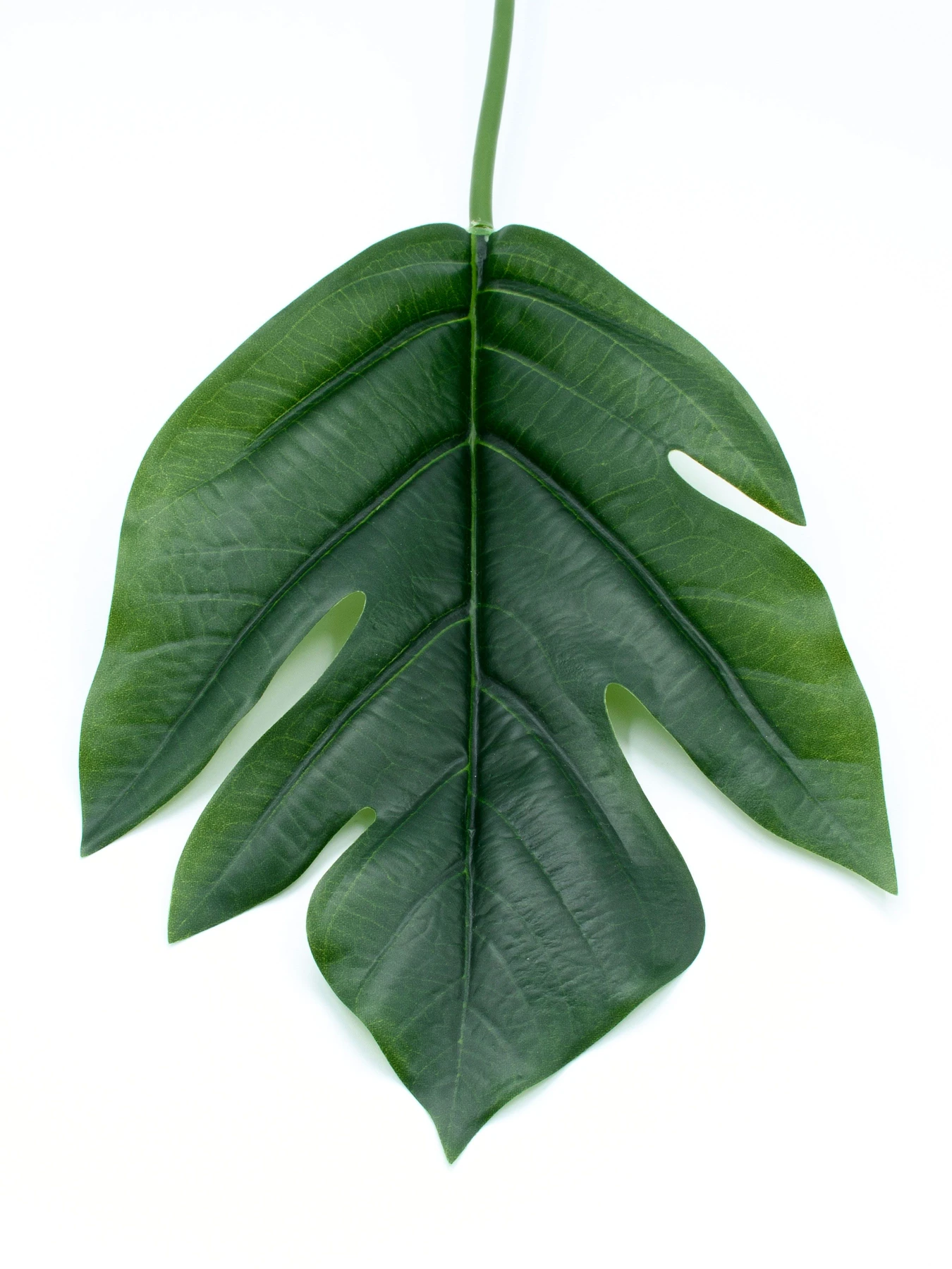 Искуственный лист "Monstera" Engard модель TW-48 Искуственный лист "Monstera" Engard модель TW-48 Фото
