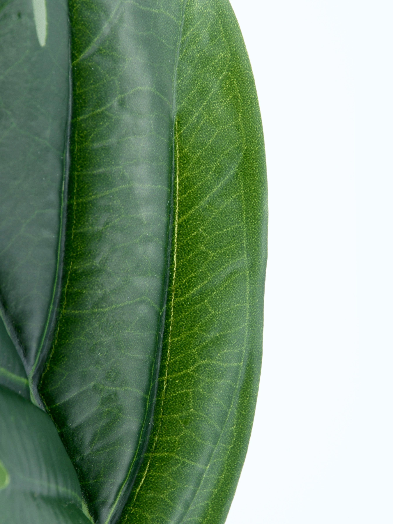 Искуственный лист "Monstera" Engard модель TW-48 Искуственный лист "Monstera" Engard модель TW-48 Фото