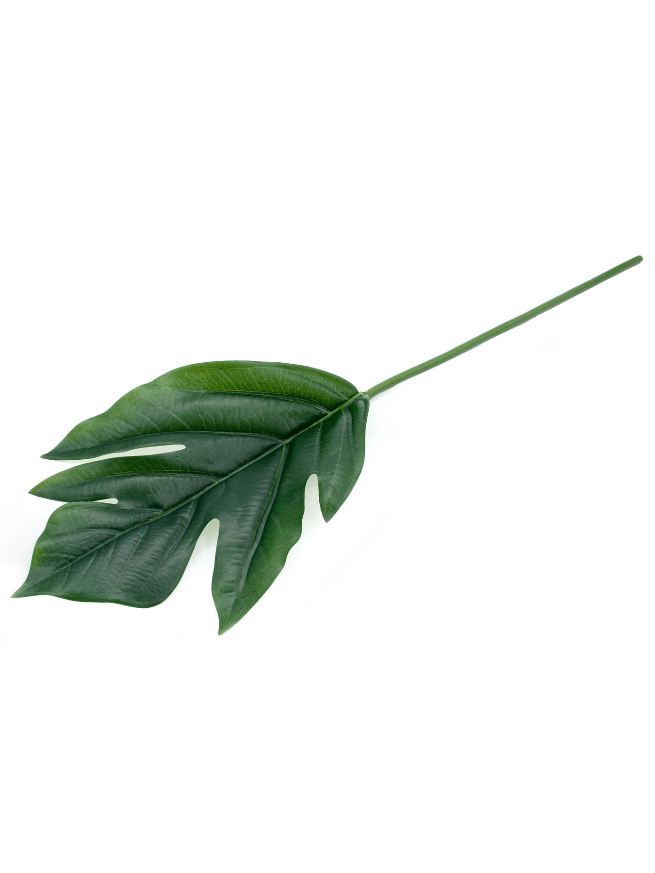 Искуственный лист "Monstera" Engard модель TW-48 Искуственный лист "Monstera" Engard модель TW-48 Фото