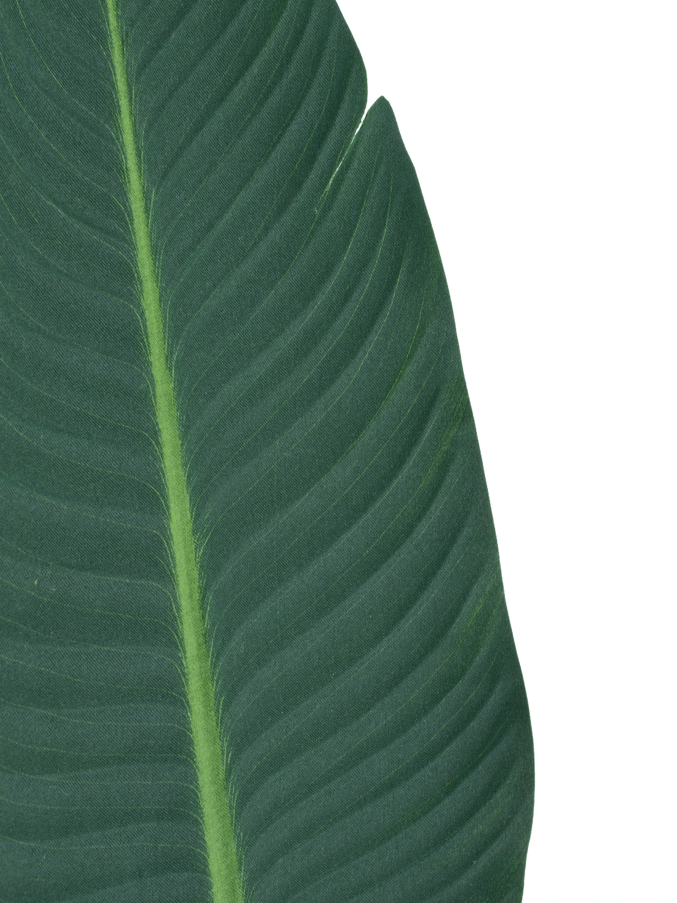 Искусственный лист "Banana Tree" Engard модель TW-51 Искусственный лист "Banana Tree" Engard модель TW-51 Фото