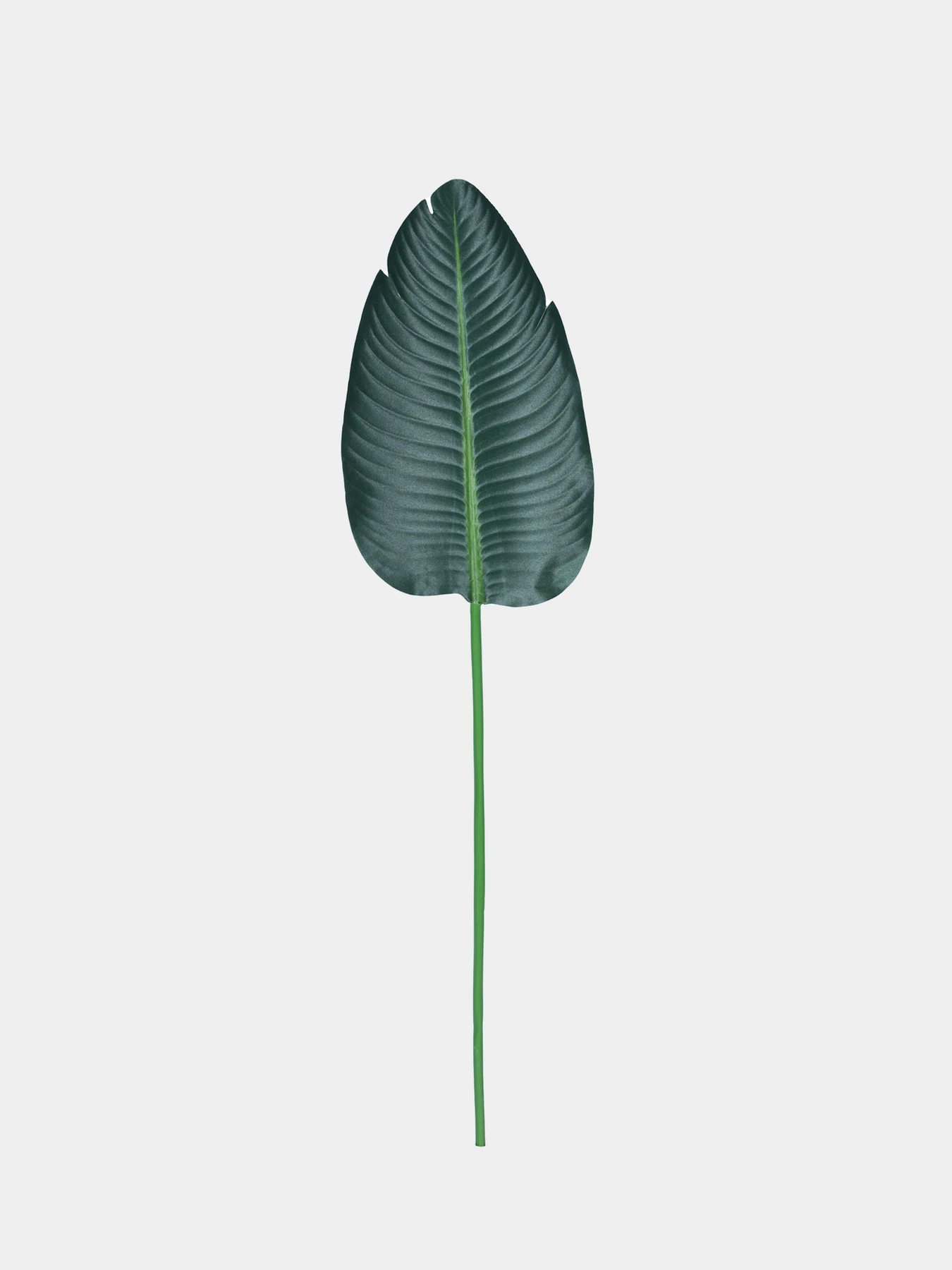 Искусственный лист "Banana Tree" Engard модель TW-51 Искусственный лист "Banana Tree" Engard модель TW-51 Фото