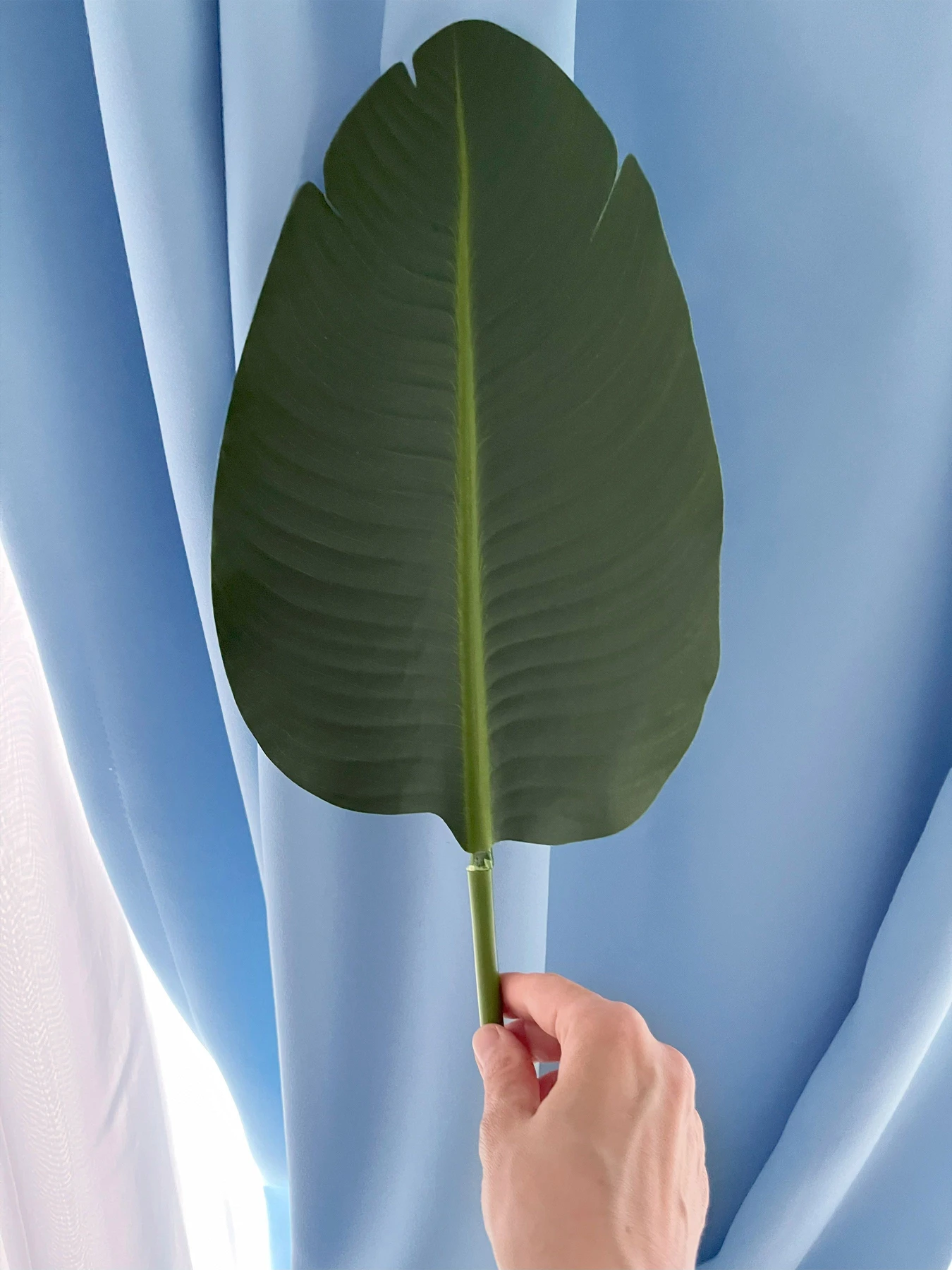 Искусственный лист "Banana Tree" Engard модель TW-51 Искусственный лист "Banana Tree" Engard модель TW-51 Фото