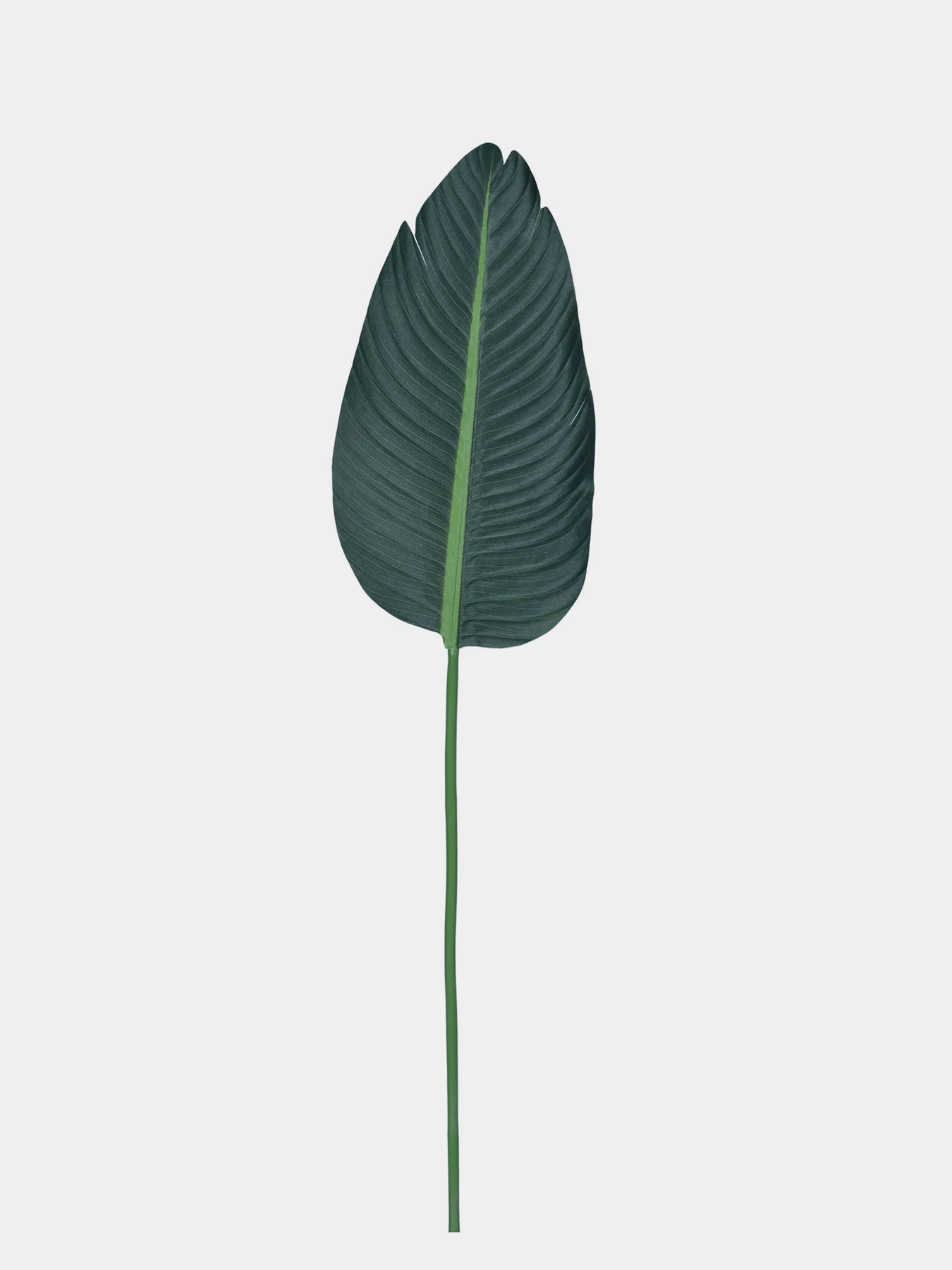 Искуственный лист "Banana Tree" Engard модель TW-52 Искуственный лист "Banana Tree" Engard модель TW-52 Фото
