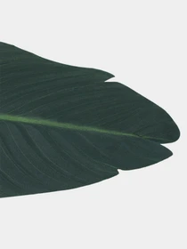 Искуственный лист "Banana Tree" Engard модель TW-52 Фото