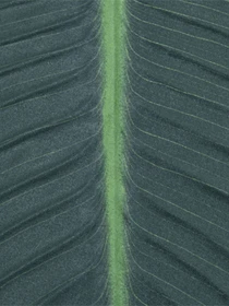Искуственный лист "Banana Tree" Engard модель TW-52 Фото