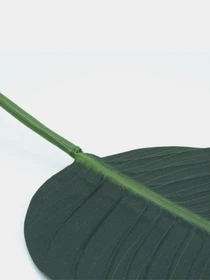 Искуственный лист "Banana Tree" Engard модель TW-52 Фото