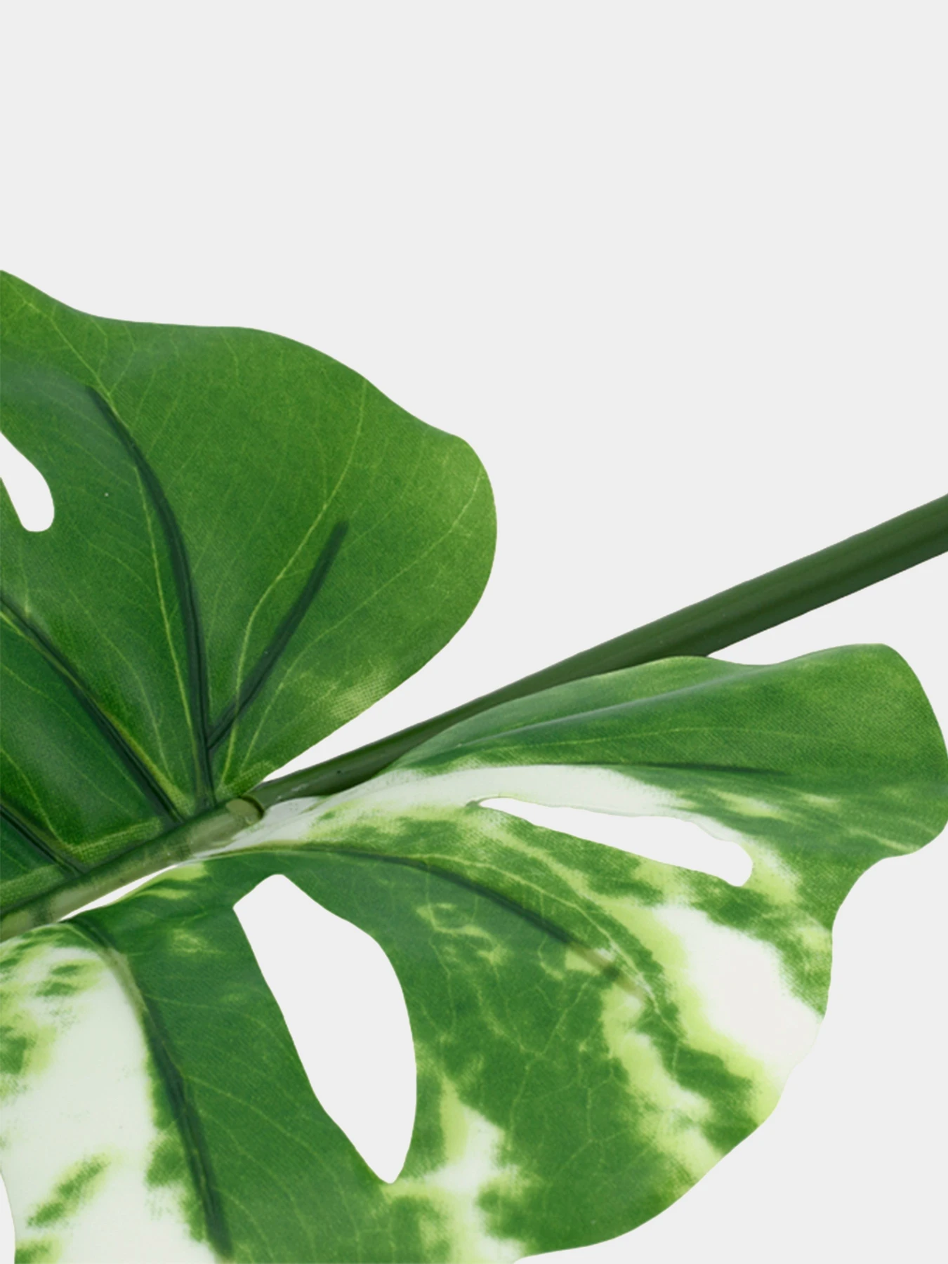 Искуственный лист "Monstera Alba" Engard модель TW-54 Искуственный лист "Monstera Alba" Engard модель TW-54 Фото