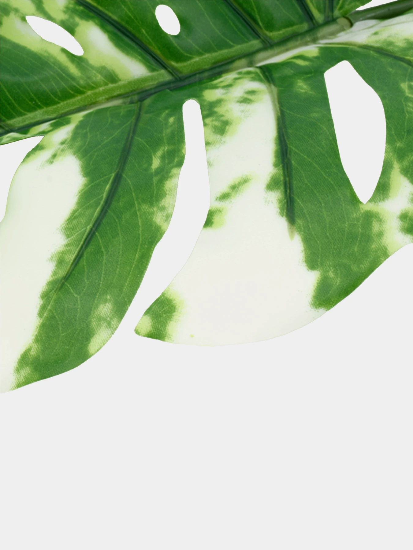 Искуственный лист "Monstera Alba" Engard модель TW-54 Искуственный лист "Monstera Alba" Engard модель TW-54 Фото