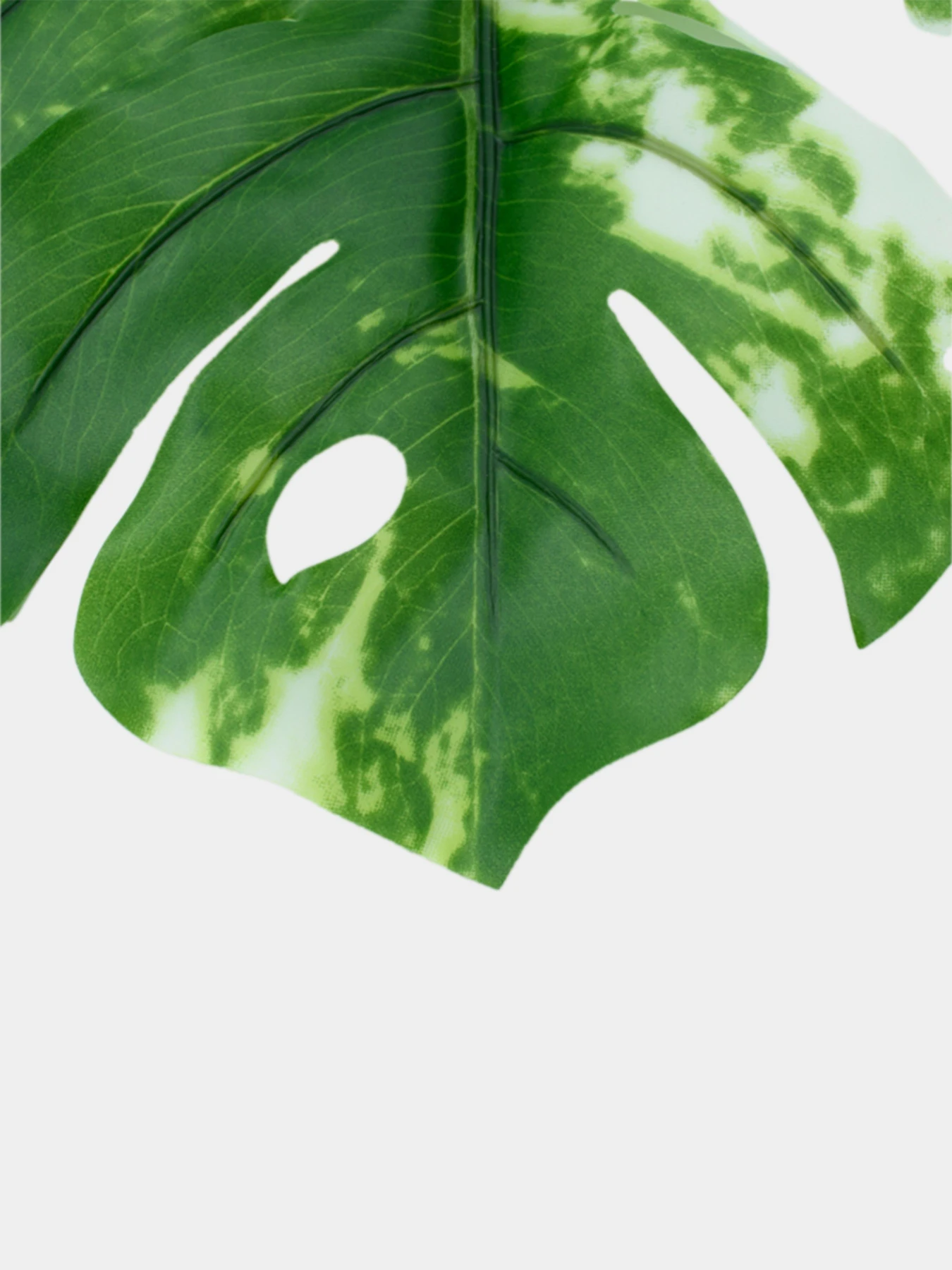Искуственный лист "Monstera Alba" Engard модель TW-54 Искуственный лист "Monstera Alba" Engard модель TW-54 Фото