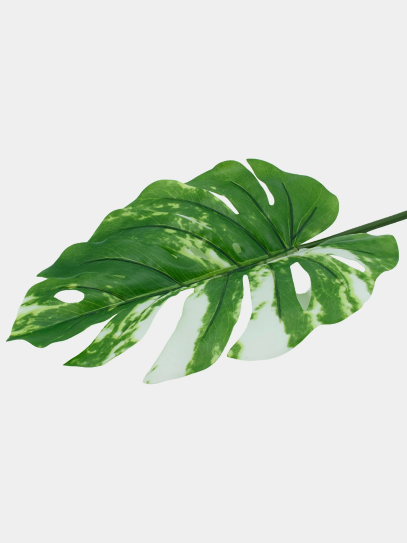Искуственный лист "Monstera Alba" Engard модель TW-54 Искуственный лист "Monstera Alba" Engard модель TW-54 Фото