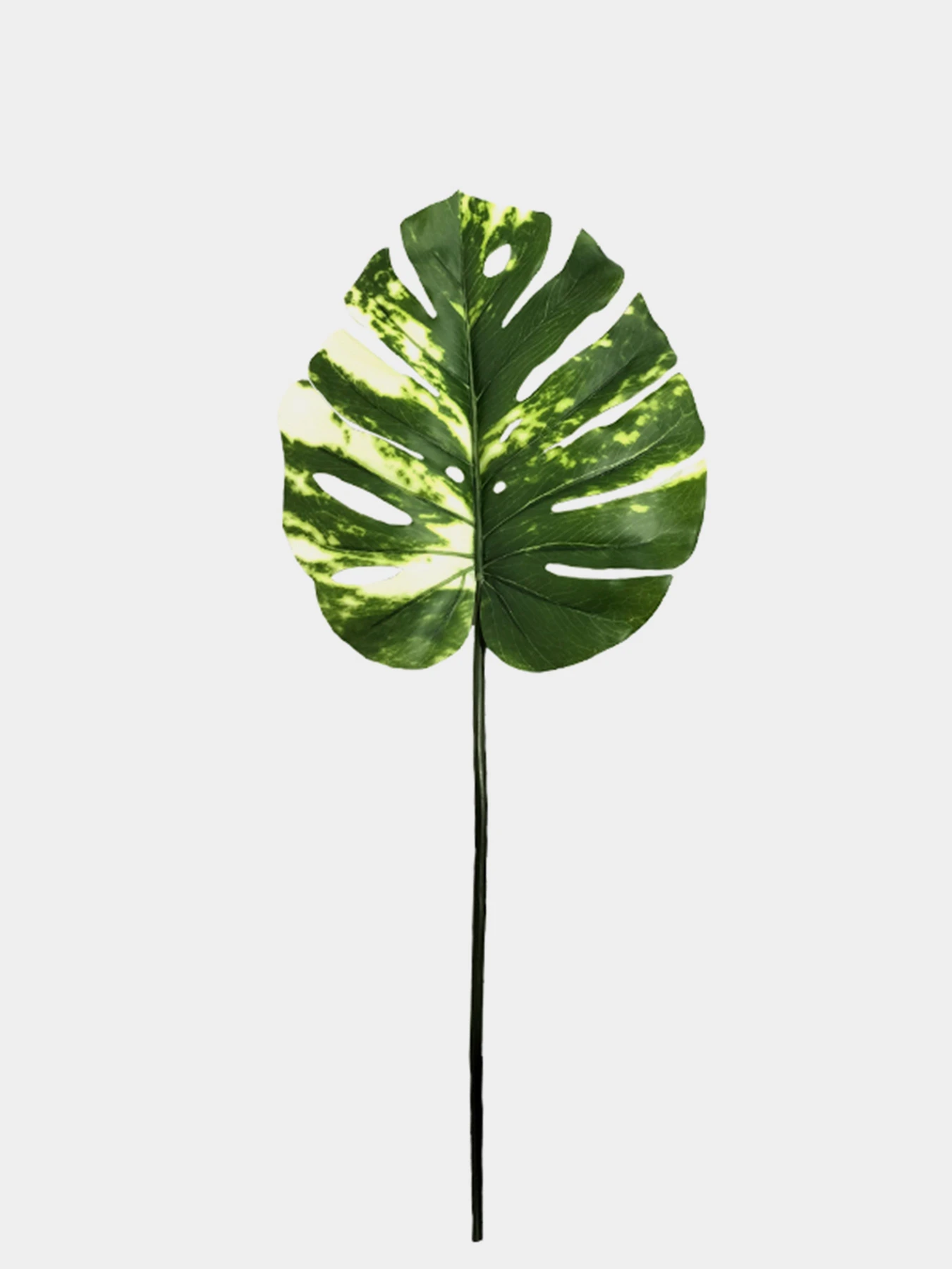 Искуственный лист "Monstera Alba" Engard модель TW-54 Искуственный лист "Monstera Alba" Engard модель TW-54 Фото