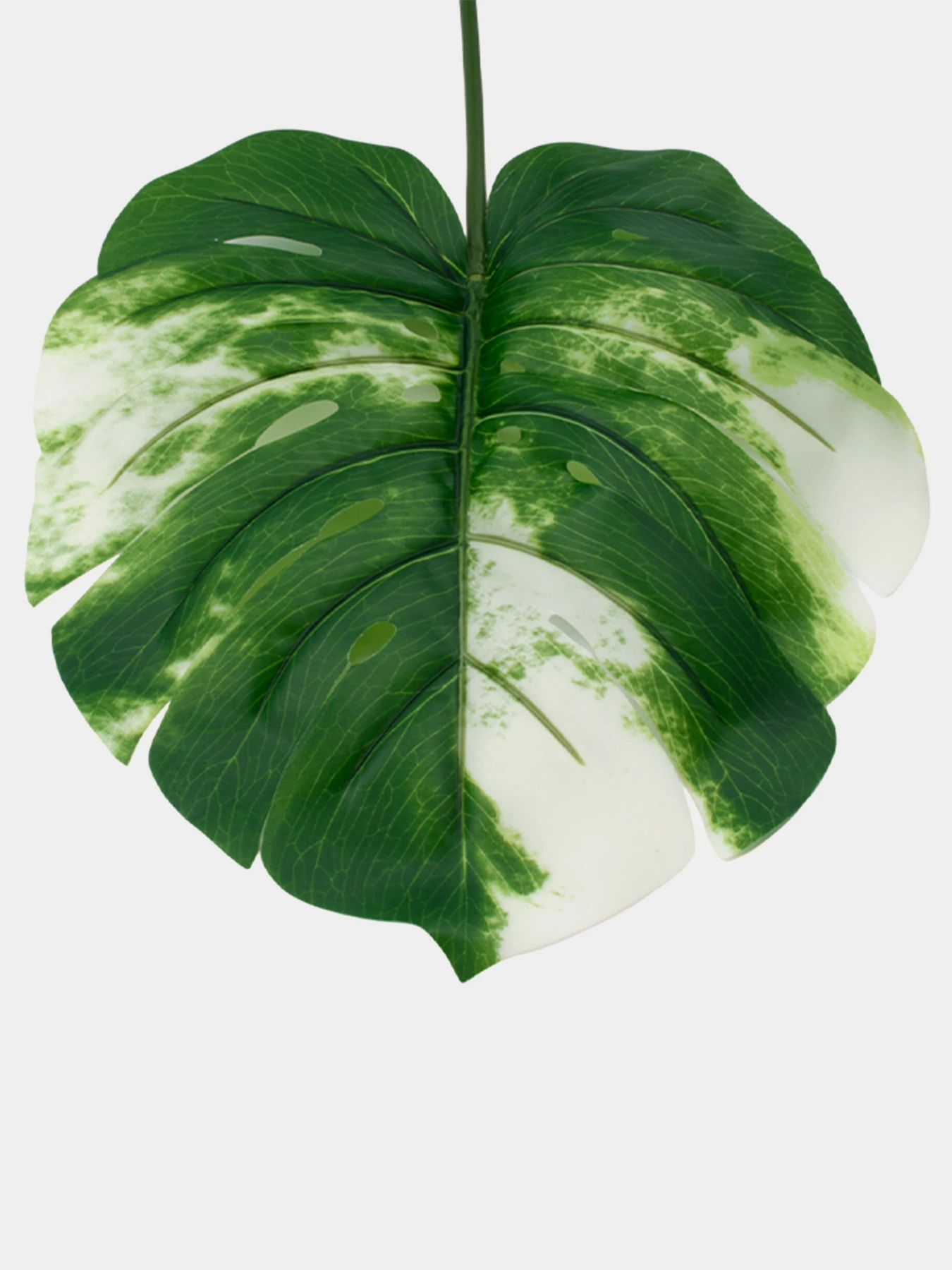 Искуственный лист "Monstera Alba", 78 см Engard модель TW-55 Искуственный лист "Monstera Alba", 78 см Engard модель TW-55 Фото