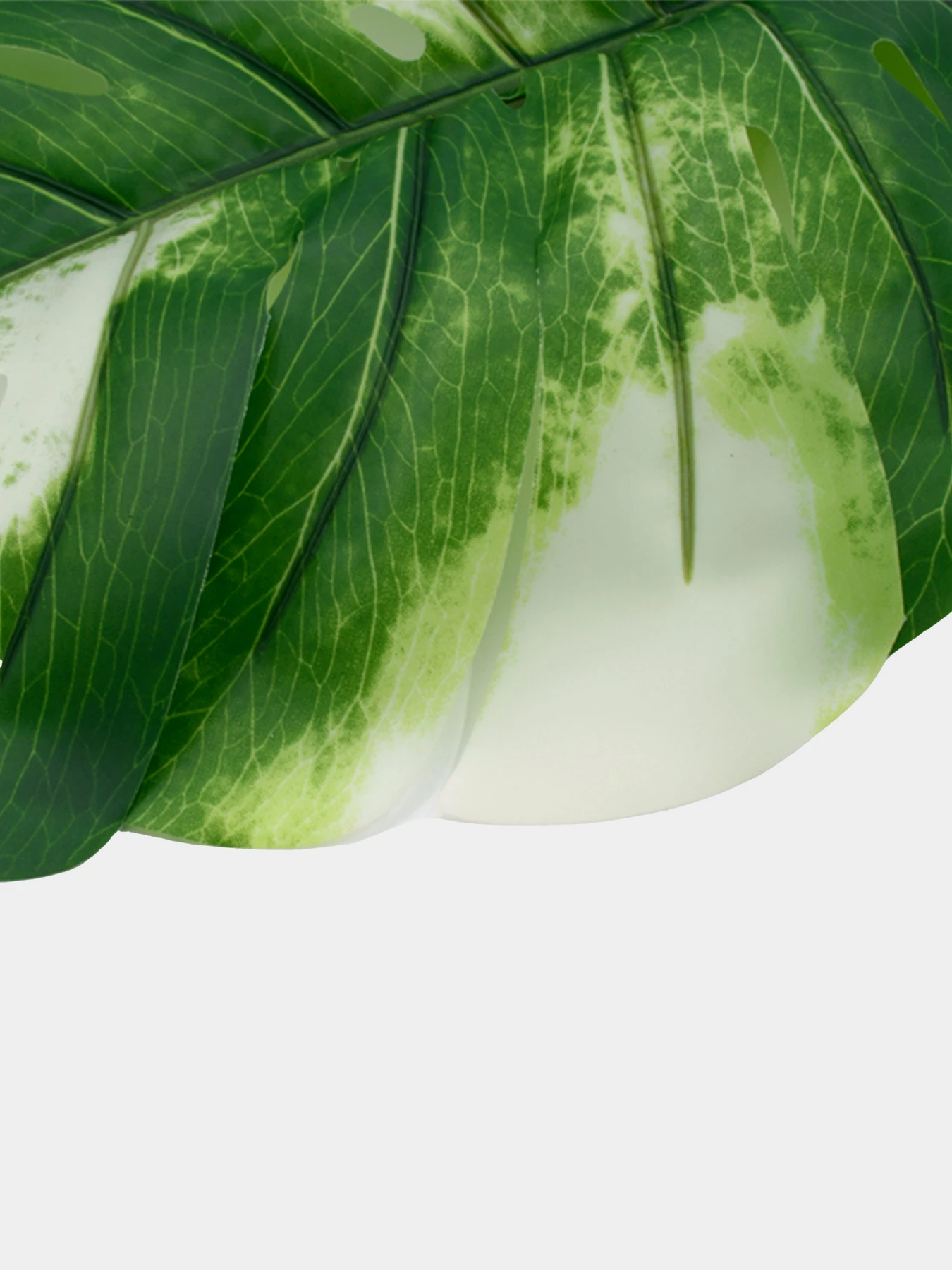 Искуственный лист "Monstera Alba", 78 см Engard модель TW-55 Искуственный лист "Monstera Alba", 78 см Engard модель TW-55 Фото