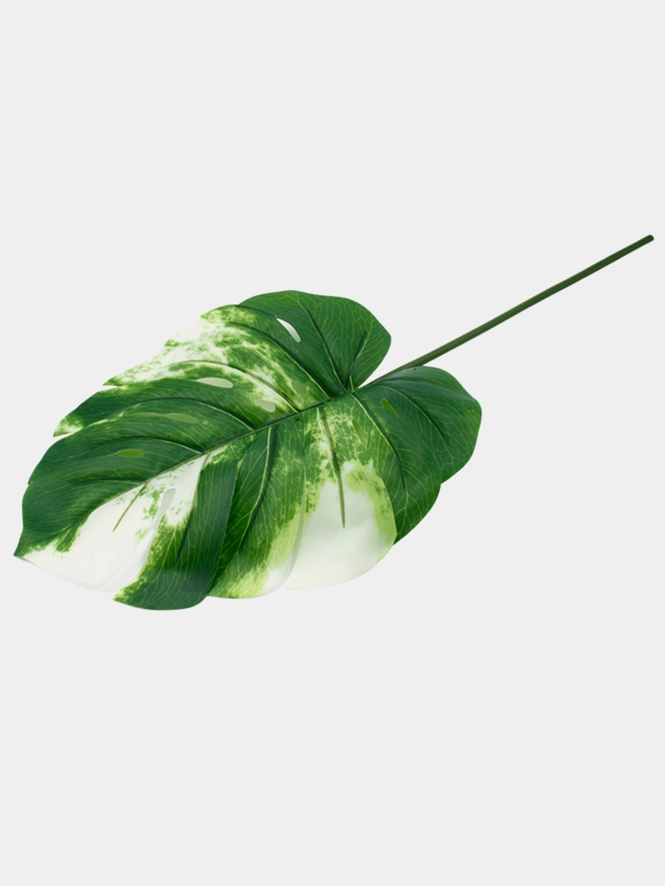 Искуственный лист "Monstera Alba", 78 см Engard модель TW-55 Искуственный лист "Monstera Alba", 78 см Engard модель TW-55 Фото