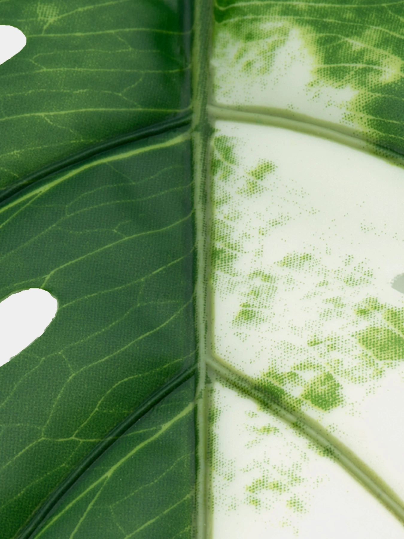 Искуственный лист "Monstera Alba", 78 см Engard модель TW-55 Искуственный лист "Monstera Alba", 78 см Engard модель TW-55 Фото