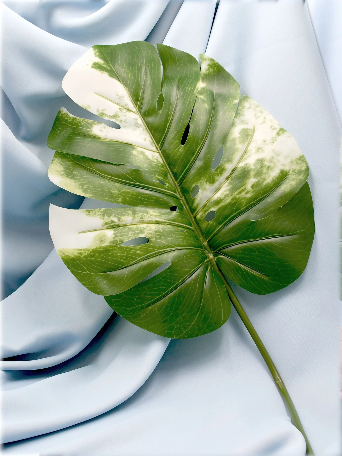 Искуственный лист "Monstera Alba", 78 см Engard модель TW-55 Искуственный лист "Monstera Alba", 78 см Engard модель TW-55 Фото