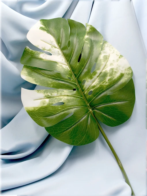 Искуственный лист "Monstera Alba", 78 см Engard модель TW-55 Фото